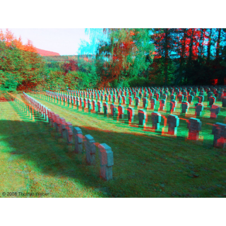 Grabreihen Friedhof St. Wendel